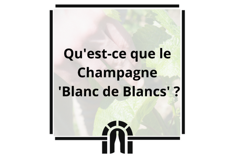 Qu’est ce que le champagne Blanc de Blancs ?